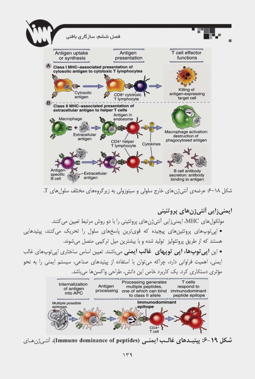 صفر تا صد ایمنی‌شناسی