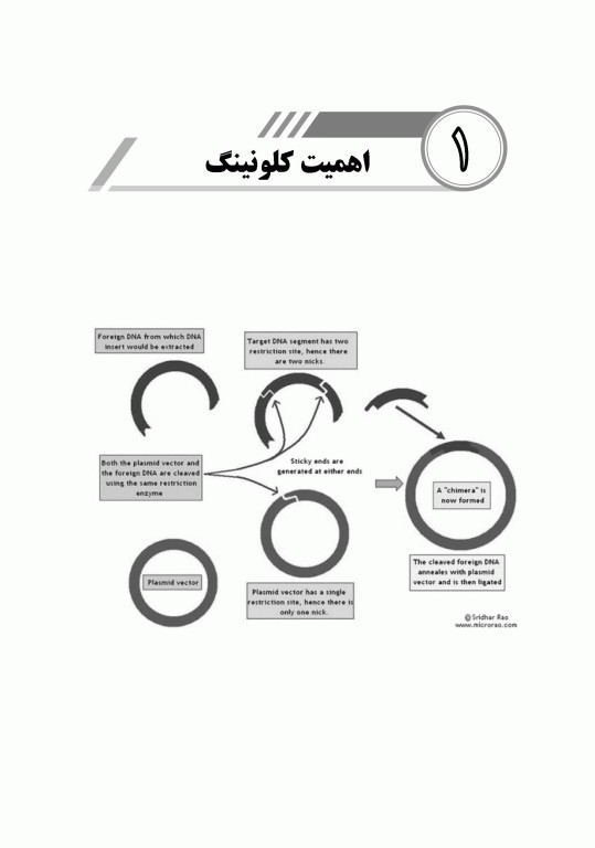 صفر تا صد ژنتیک انسانی و پزشکی