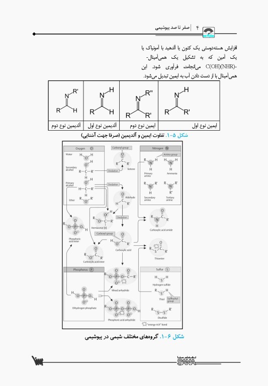 صفر تا صد بیوشیمی پایه و بالینی سنا
