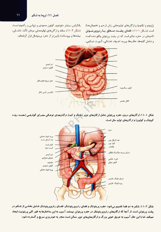 مدیریت تروما PHTLS در اورژانس پیش بیمارستانی 2023 جلد دوم