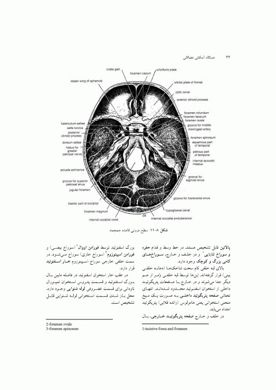 آناتومی سیستمیک اسنل جلد سوم دستگاه اسکلتی عضلانی