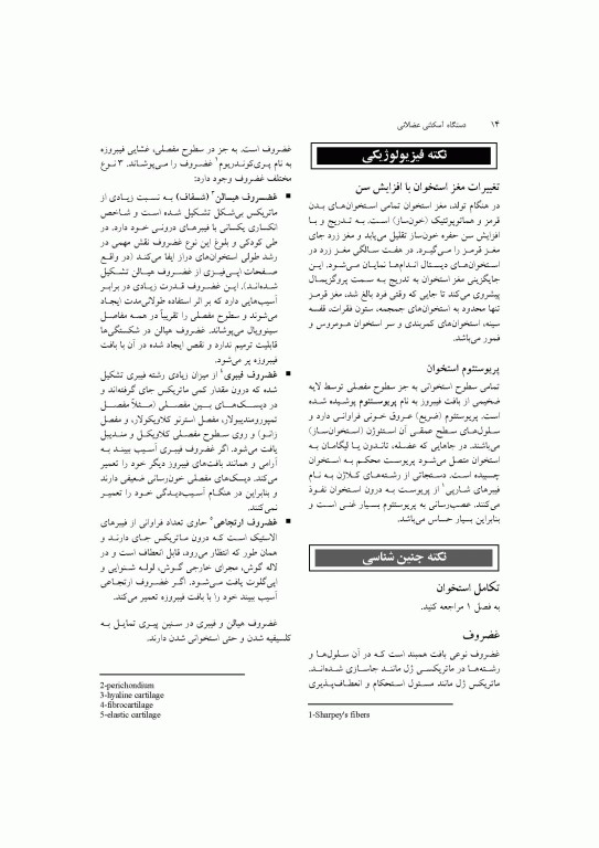 آناتومی سیستمیک اسنل جلد سوم دستگاه اسکلتی عضلانی