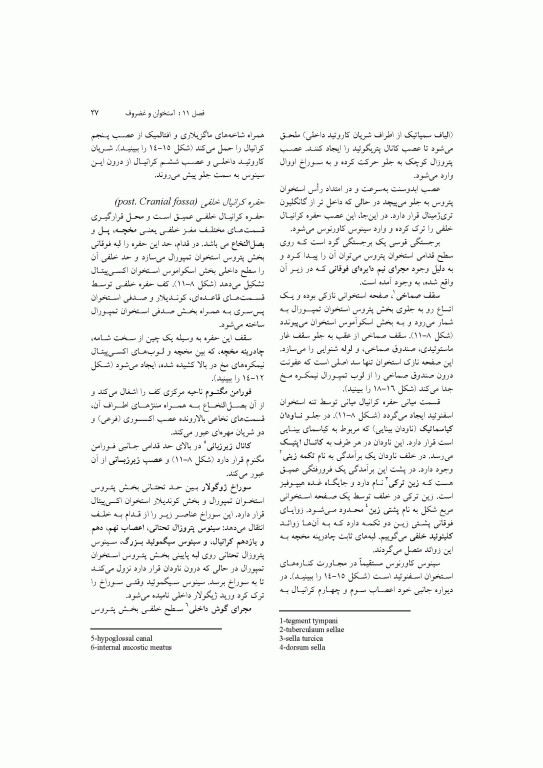 آناتومی سیستمیک اسنل جلد سوم دستگاه اسکلتی عضلانی