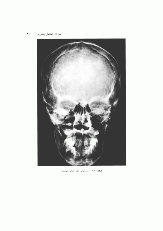 آناتومی سیستمیک اسنل جلد سوم دستگاه اسکلتی عضلانی