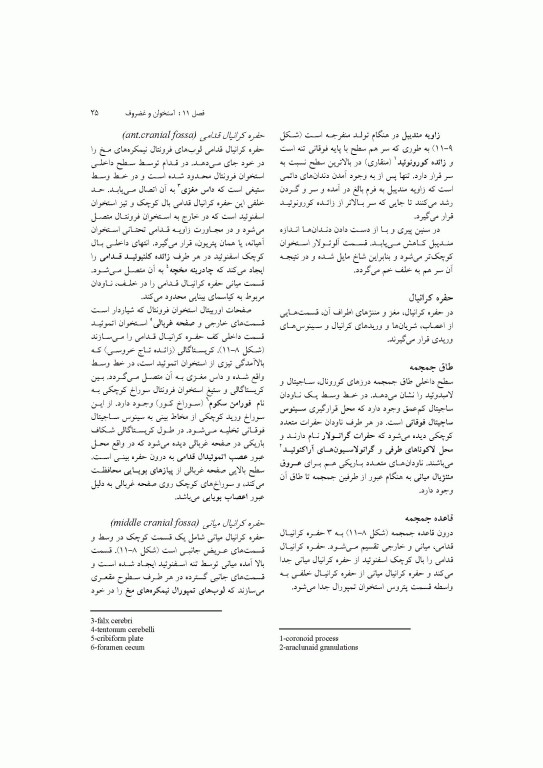 آناتومی سیستمیک اسنل جلد سوم دستگاه اسکلتی عضلانی