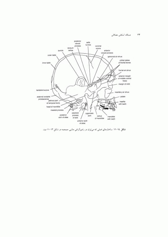 آناتومی سیستمیک اسنل جلد سوم دستگاه اسکلتی عضلانی
