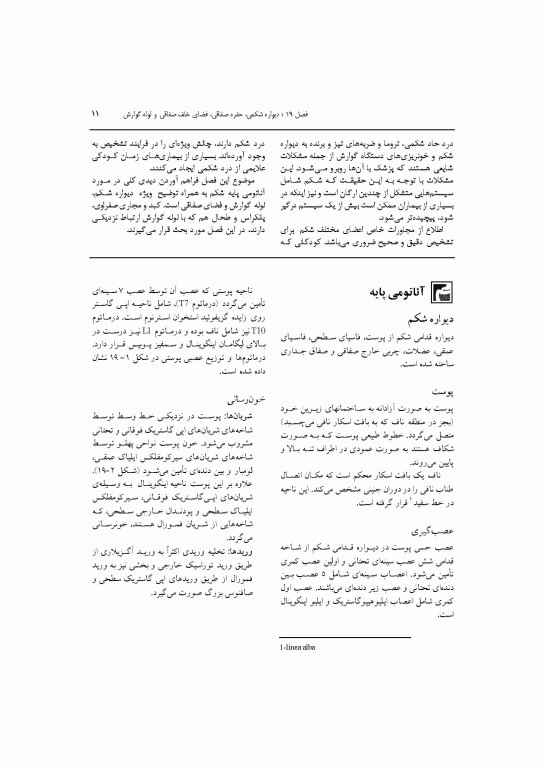 آناتومی سیستمیک اسنل جلد پنجم دستگاه گوارش