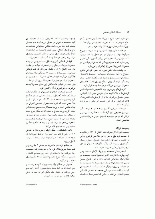 آناتومی سیستمیک اسنل جلد سوم دستگاه اسکلتی عضلانی