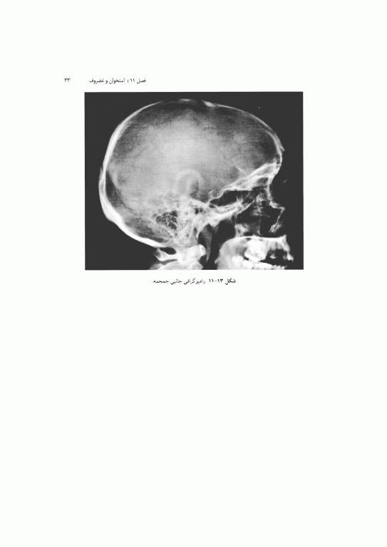 آناتومی سیستمیک اسنل جلد سوم دستگاه اسکلتی عضلانی