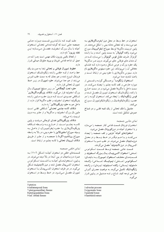 آناتومی سیستمیک اسنل جلد سوم دستگاه اسکلتی عضلانی