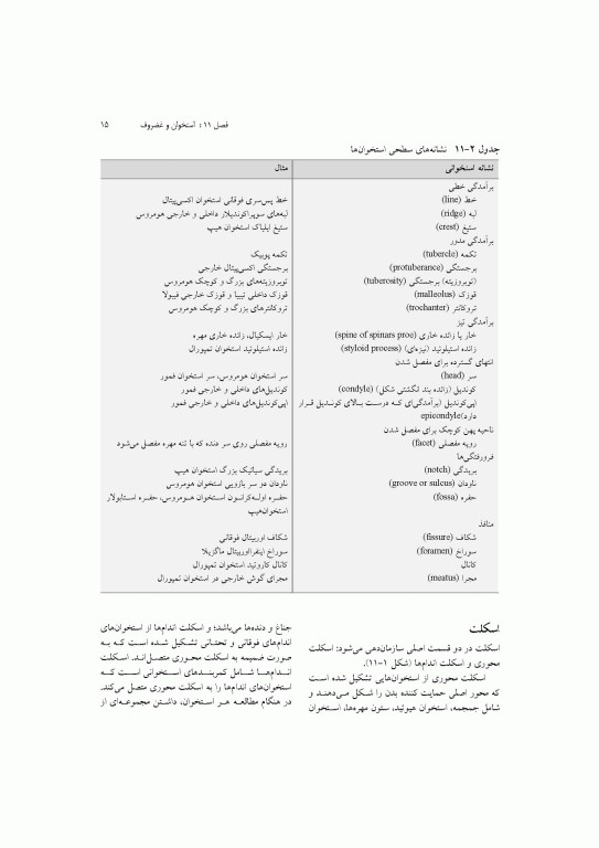 آناتومی سیستمیک اسنل جلد سوم دستگاه اسکلتی عضلانی