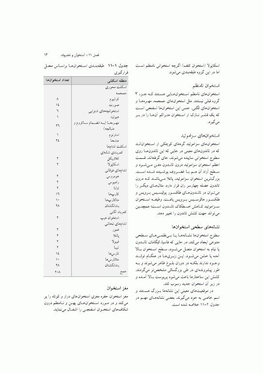 آناتومی سیستمیک اسنل جلد سوم دستگاه اسکلتی عضلانی
