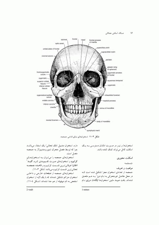 آناتومی سیستمیک اسنل جلد سوم دستگاه اسکلتی عضلانی
