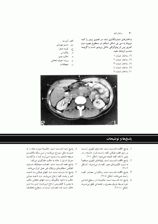 آناتومی سیستمیک اسنل جلد ششم دستگاه ادراری تناسلی دستگاه غدد درون ریز