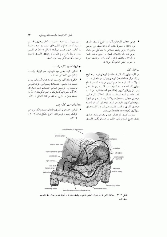 آناتومی سیستمیک اسنل جلد ششم دستگاه ادراری تناسلی دستگاه غدد درون ریز