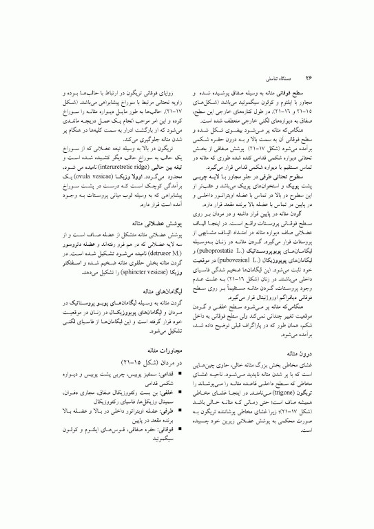 آناتومی سیستمیک اسنل جلد ششم دستگاه ادراری تناسلی دستگاه غدد درون ریز