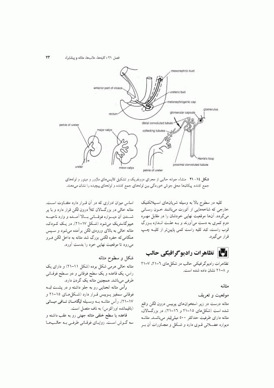 آناتومی سیستمیک اسنل جلد ششم دستگاه ادراری تناسلی دستگاه غدد درون ریز