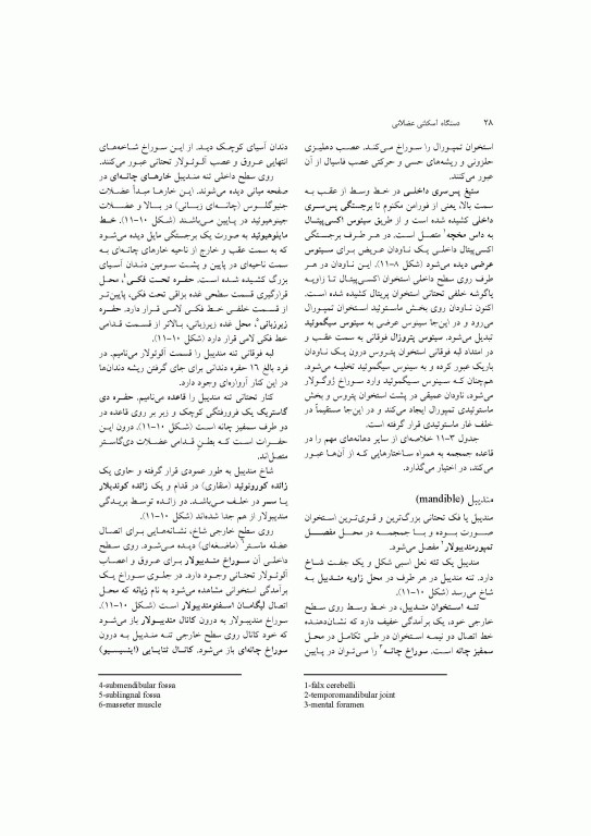 آناتومی سیستمیک اسنل جلد سوم دستگاه اسکلتی عضلانی