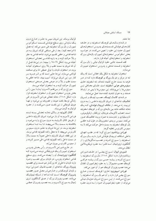 آناتومی سیستمیک اسنل جلد سوم دستگاه اسکلتی عضلانی