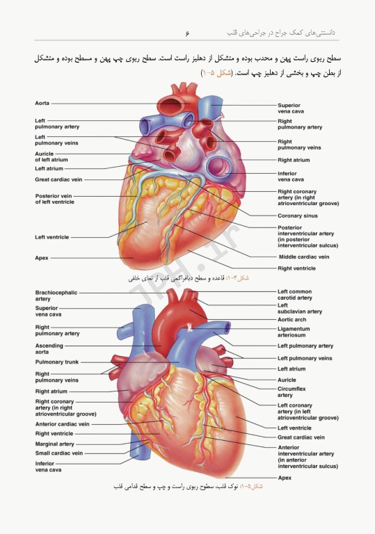 داﻧﺴﺘﻨﯽﻫﺎی ﮐﻤﮏ ﺟﺮاح در ﺟﺮاﺣﯽﻫﺎی ﻗﻠﺐ، ﻋﺮوق و ﺗﻮراﮐﺲ