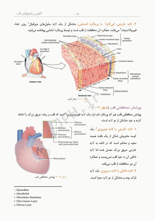 داﻧﺴﺘﻨﯽﻫﺎی ﮐﻤﮏ ﺟﺮاح در ﺟﺮاﺣﯽﻫﺎی ﻗﻠﺐ، ﻋﺮوق و ﺗﻮراﮐﺲ