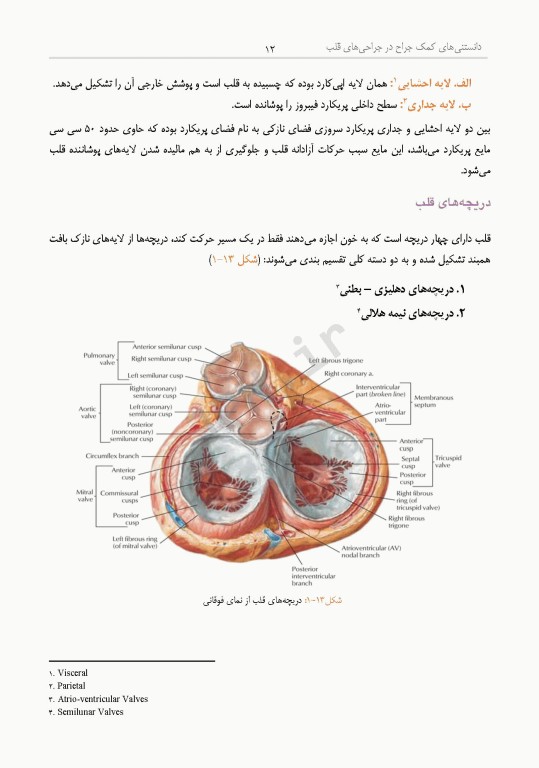 داﻧﺴﺘﻨﯽﻫﺎی ﮐﻤﮏ ﺟﺮاح در ﺟﺮاﺣﯽﻫﺎی ﻗﻠﺐ، ﻋﺮوق و ﺗﻮراﮐﺲ