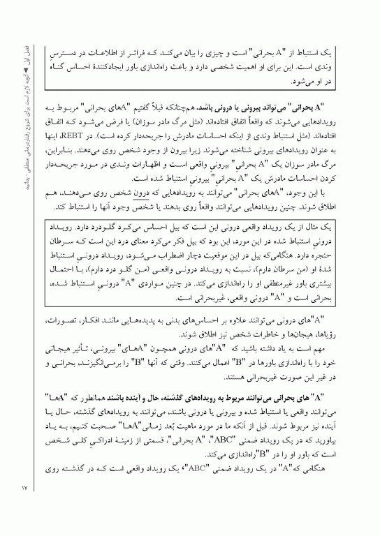 ضروریات رفتار درمانی منطقی هیجانی راهنمای درمانگران