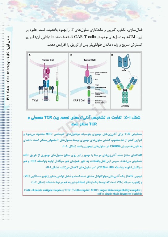 درمان لوسمی‌ها و سرطان‌ها با CAR T Cell ام البنین سرگزی