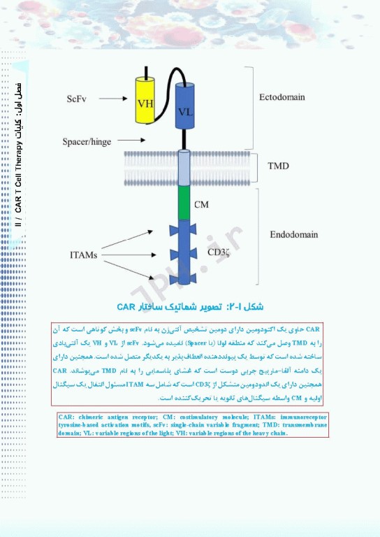 درمان لوسمی‌ها و سرطان‌ها با CAR T Cell ام البنین سرگزی