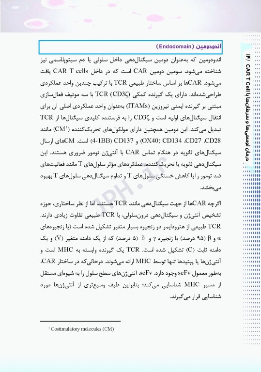 درمان لوسمی‌ها و سرطان‌ها با CAR T Cell ام البنین سرگزی