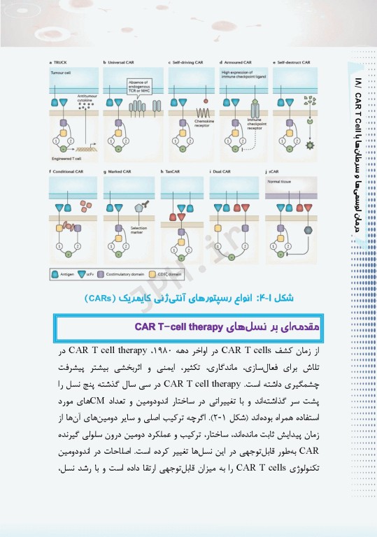 درمان لوسمی‌ها و سرطان‌ها با CAR T Cell ام البنین سرگزی