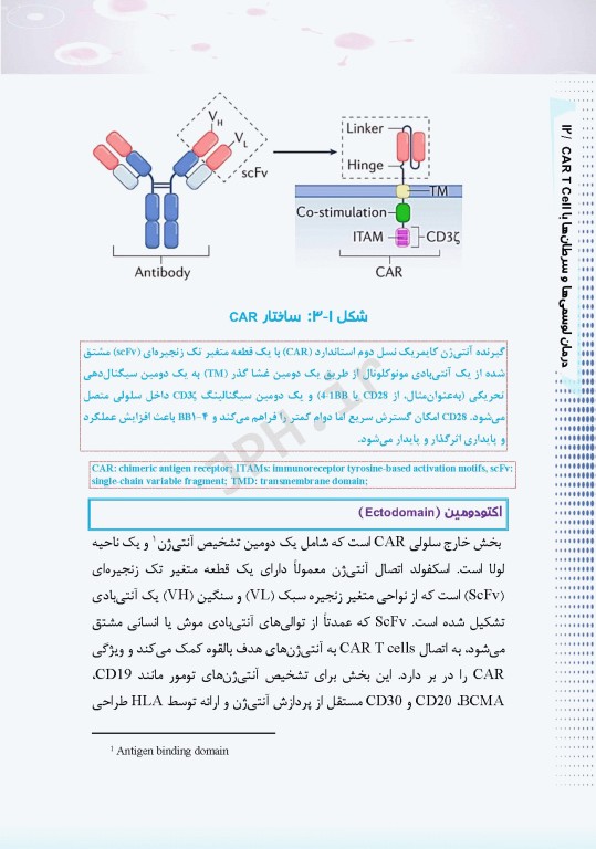 درمان لوسمی‌ها و سرطان‌ها با CAR T Cell ام البنین سرگزی