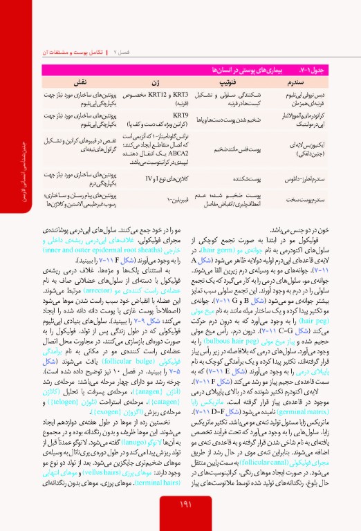 جنین شناسی انسانی لارسن 2015 پروفسور محمدتقی جغتایی