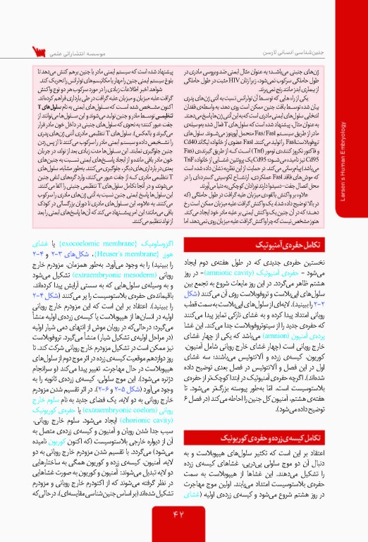 جنین شناسی انسانی لارسن 2015 پروفسور محمدتقی جغتایی