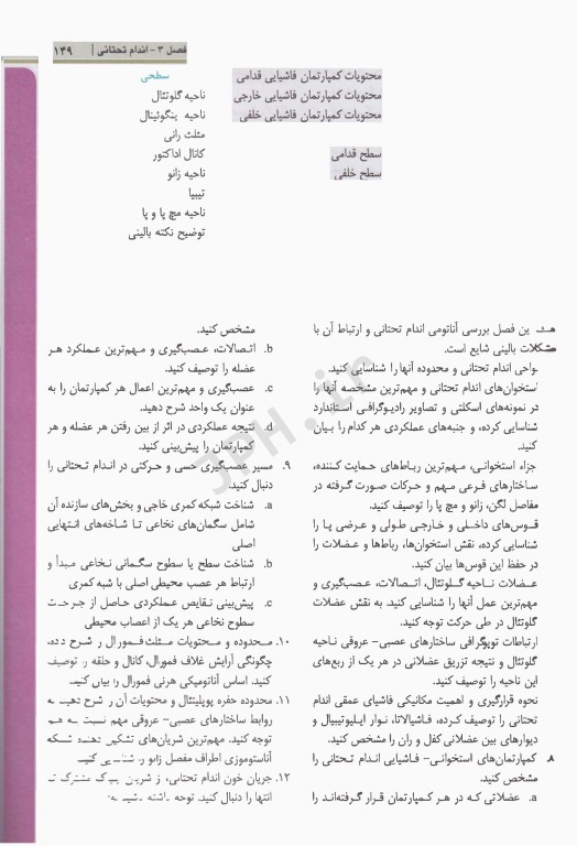 آناتومی بالینی اسنل 2025 جلد2 اندام