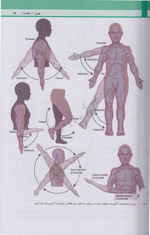 آناتومی بالینی اسنل 2025 جلد1 تنه