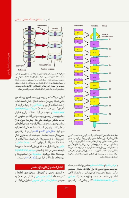 جنین شناسی انسانی لارسن 2015 پروفسور محمدتقی جغتایی