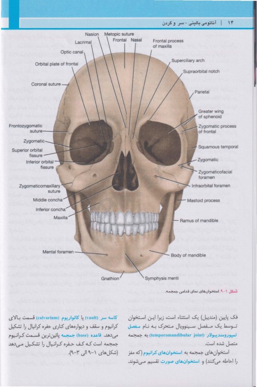 آناتومی بالینی اسنل 2025 جلد3 سر و گردن