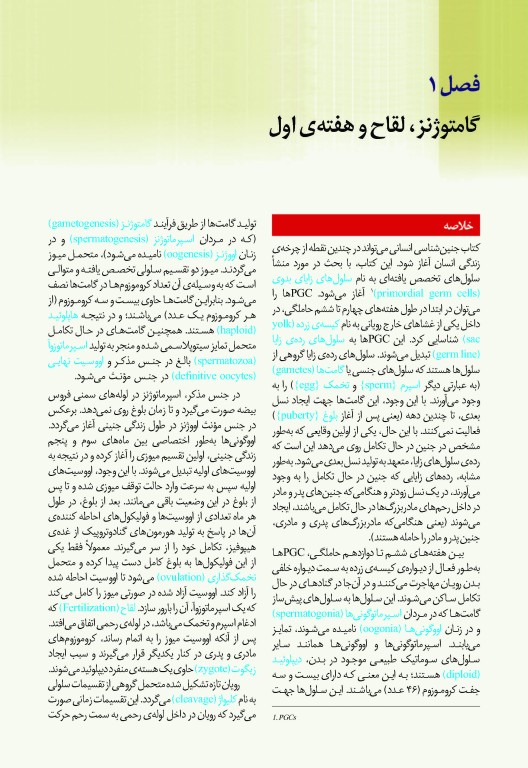 جنین شناسی انسانی لارسن 2015 پروفسور محمدتقی جغتایی