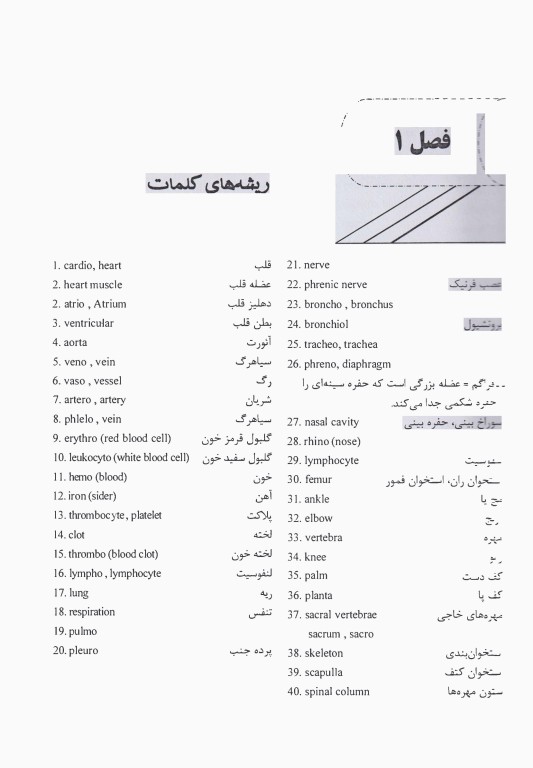 اصطلاحات پزشکی رایج در بیمارستان‌ها