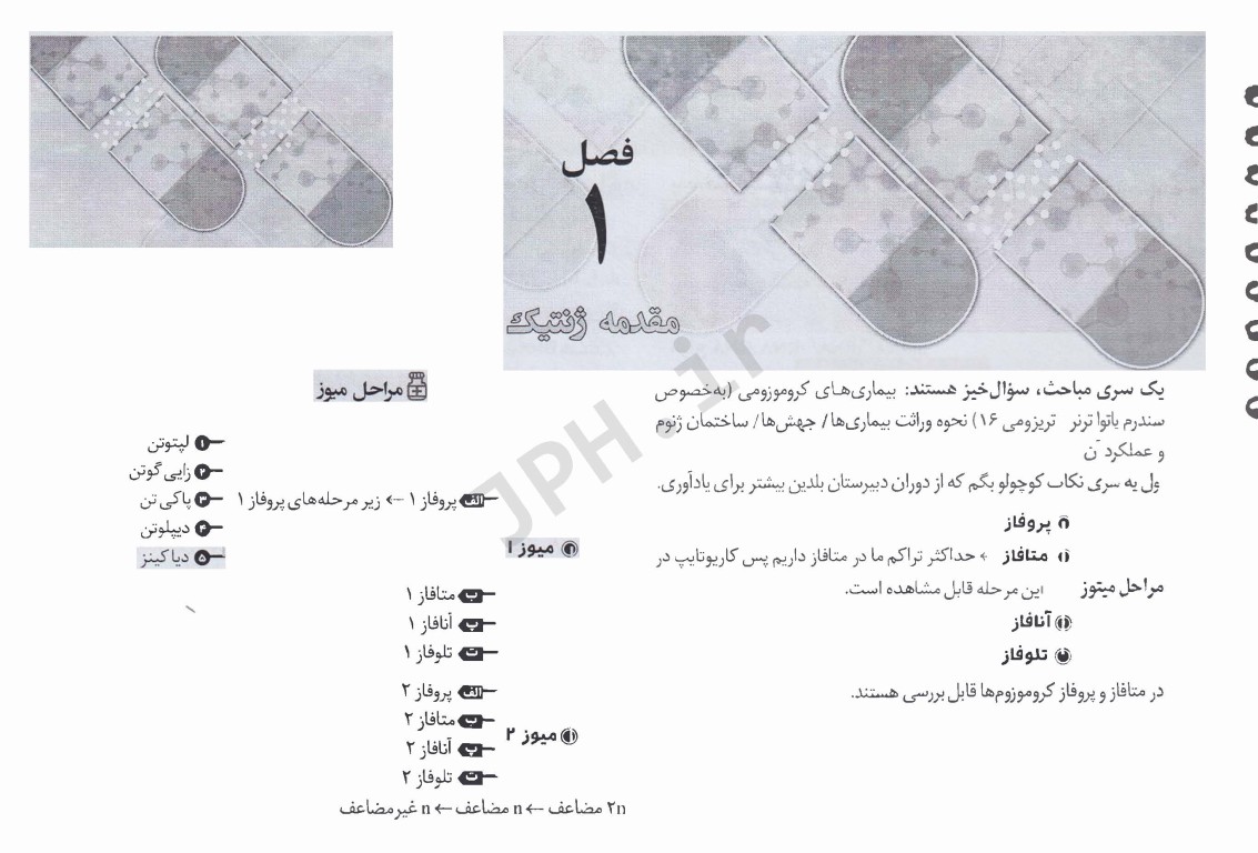 کپسول ژنتیک