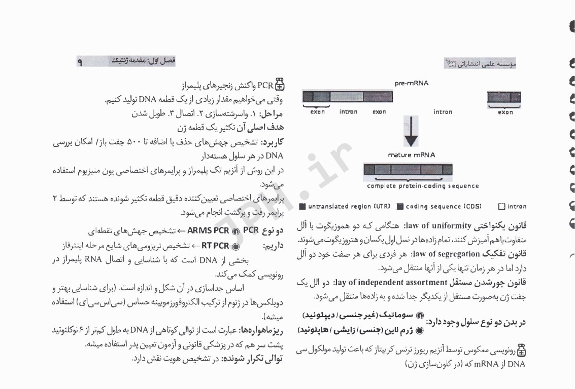 کپسول ژنتیک