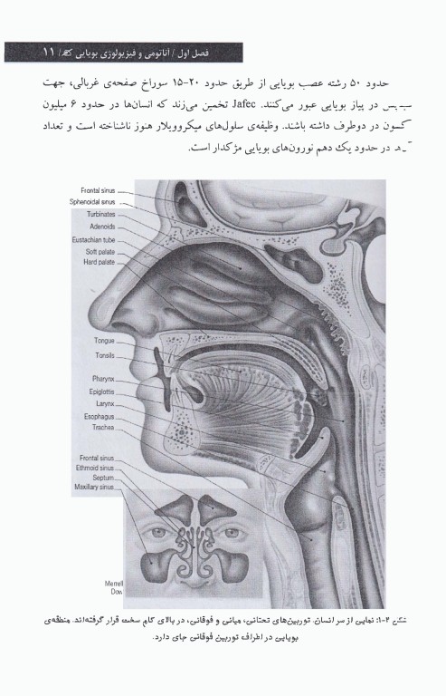 اختلالات بویایی