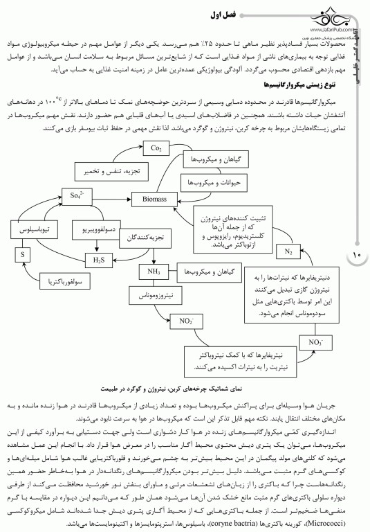 درسنامه AGK میکروب‌شناسی مواد غذایی ویژه کارشناسی ارشد بهداشت و ایمنی مواد غذایی
