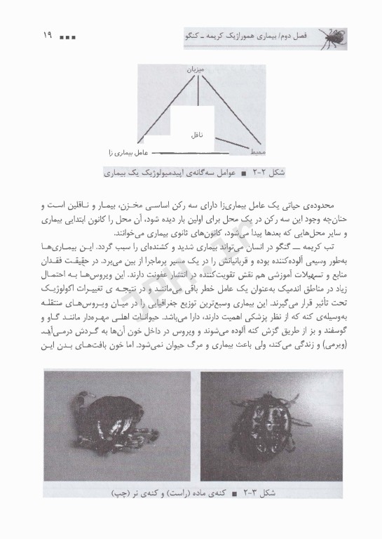 تب‌های هموراژیک ویروسی