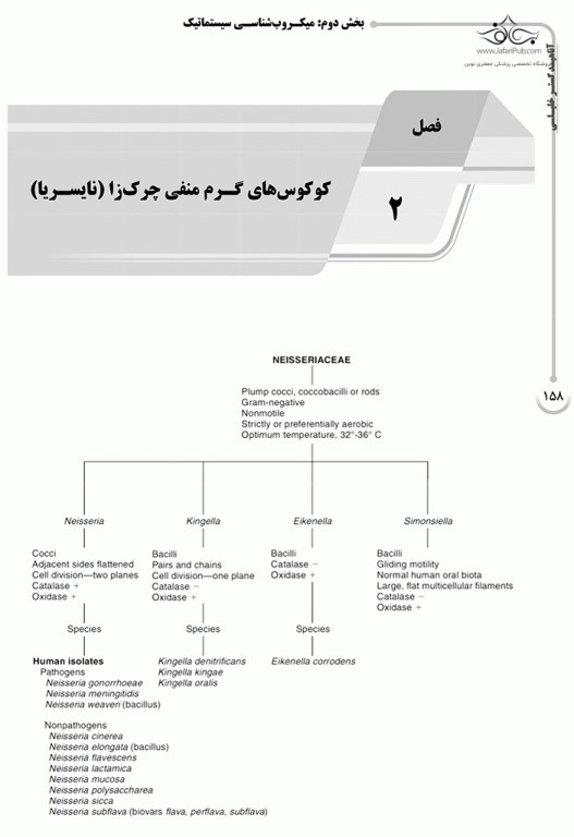 درسنامه AGK باکتری‌شناسی تخصصی ویژه کارشناسی ارشد باکتری‌شناسی و میکروب‌شناسی مواد غذایی وزارت بهداشت