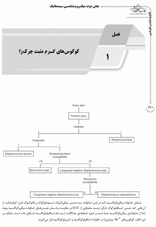 درسنامه AGK باکتری‌شناسی تخصصی ویژه کارشناسی ارشد باکتری‌شناسی و میکروب‌شناسی مواد غذایی وزارت بهداشت