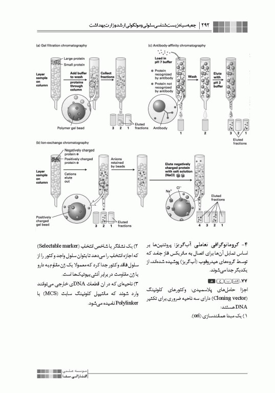 جعبه سیاه زیست‌شناسی سلولی و مولکولی