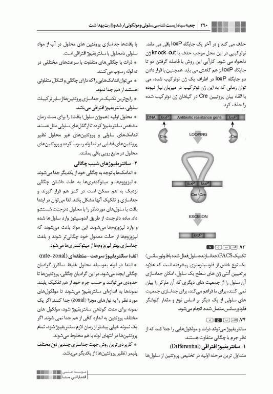 جعبه سیاه زیست‌شناسی سلولی و مولکولی