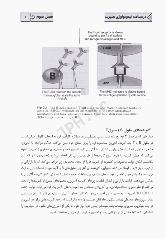 درسنامه ایمنی‌شناسی هلبرت ویژه آزمون لیسانس به پزشکی